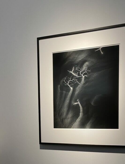 Photo Photo